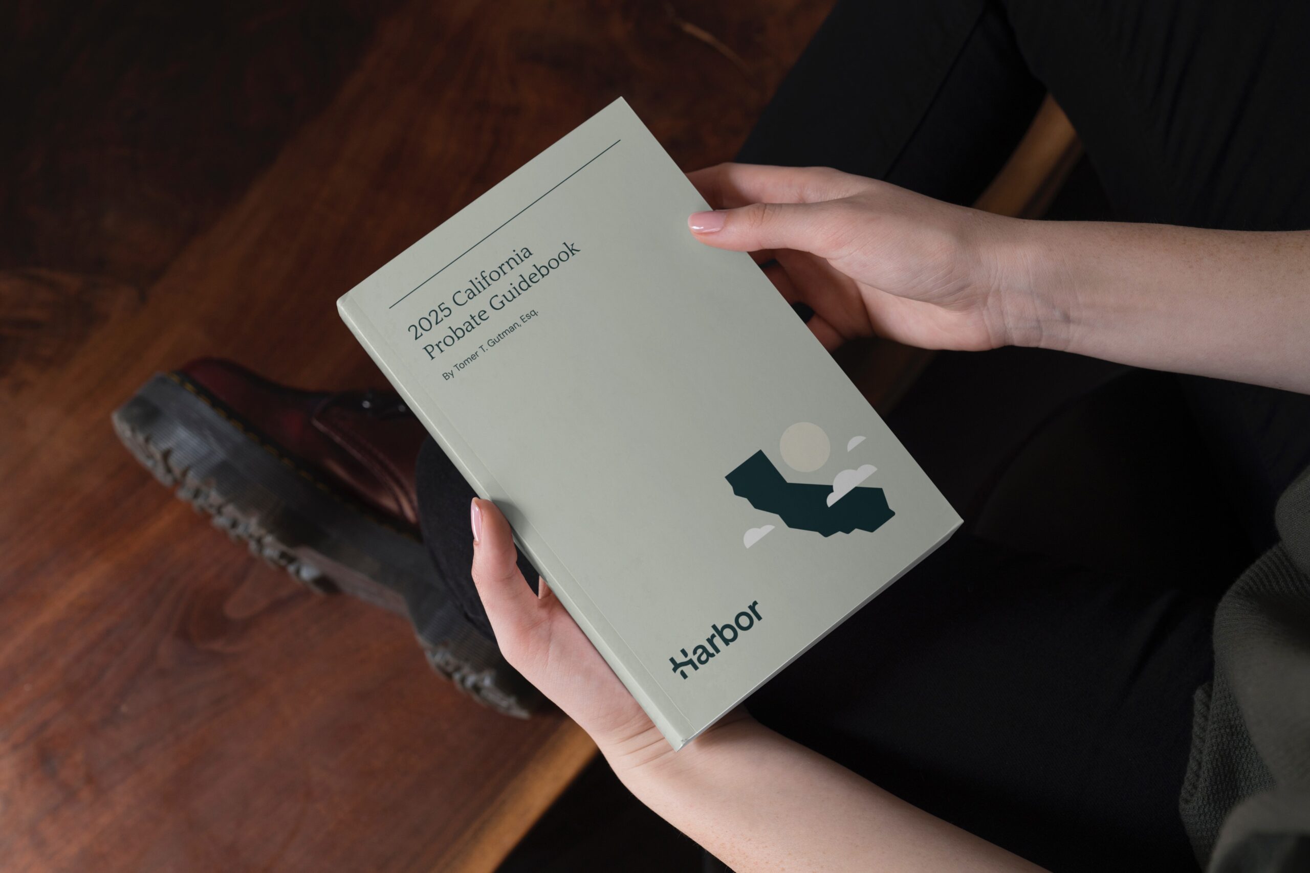 2025 book mockup