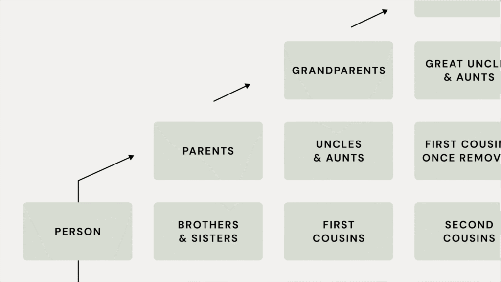 family tree example
